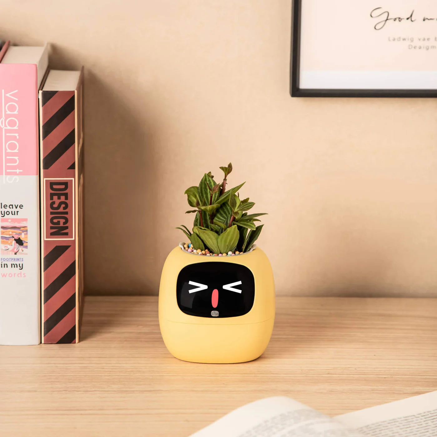 Ivy Desk Plant Pet