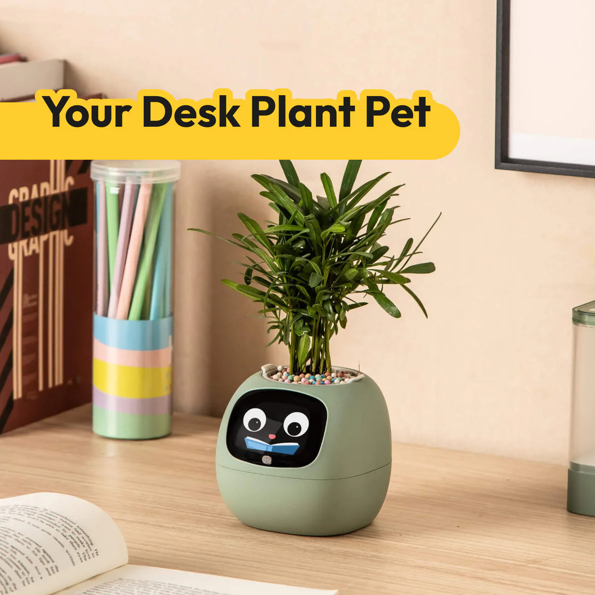 Ivy Desk Plant Pet